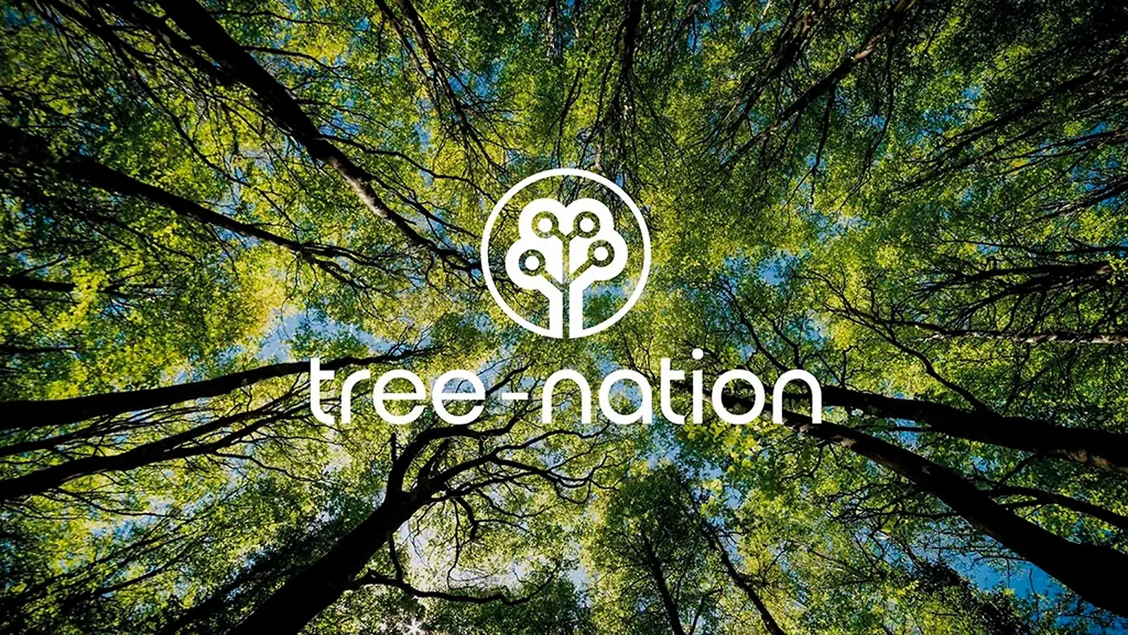 Micro Wire & Tree-Nation: Repairing the Present, Reforesting the Future