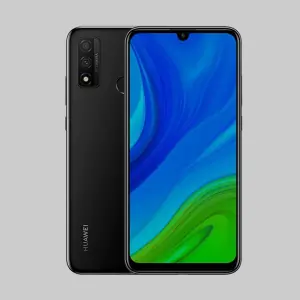 P Smart 2019