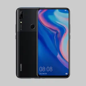 P Smart Z
