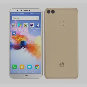 Y9 2018/2019
