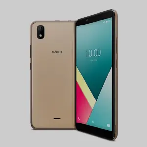 Y61