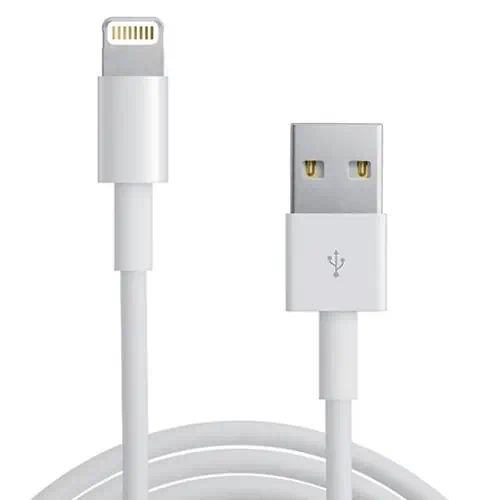 Câble Lightning vers USB 1M iPhone iPad